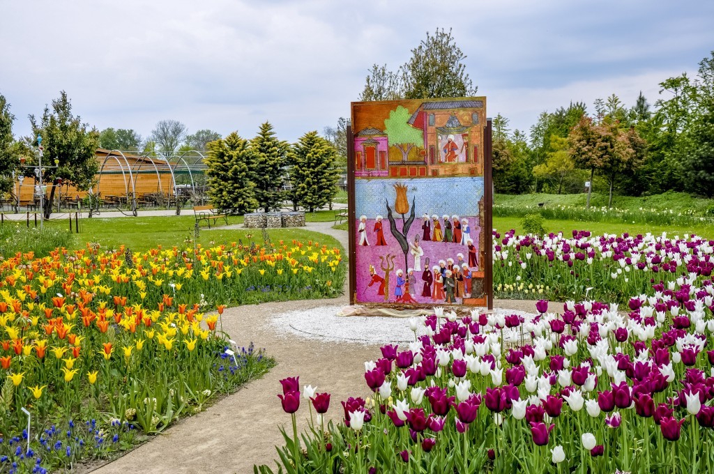 Тюльпаны в ботаническом саду Хиршштеттен в Вене