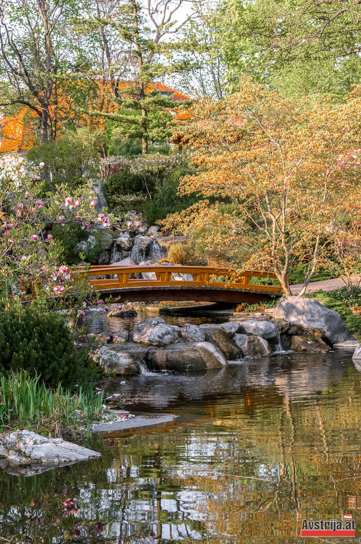 Красивый мост в в японском парке Сетагая в Вене