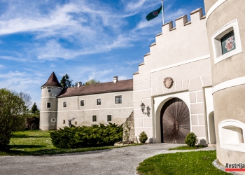 Замок Вальдрайхс в Нижней Австрии